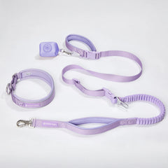 Martingale Collar and Multipurpose Leash Set - Lilac