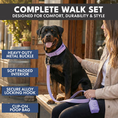 Comfort Control Collar Set - Lilac