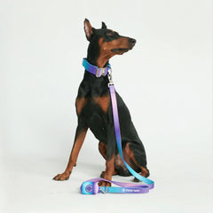 Leash and Poop Bag Holder Set