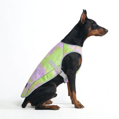 Dog Cooling Vest - Neon Purple